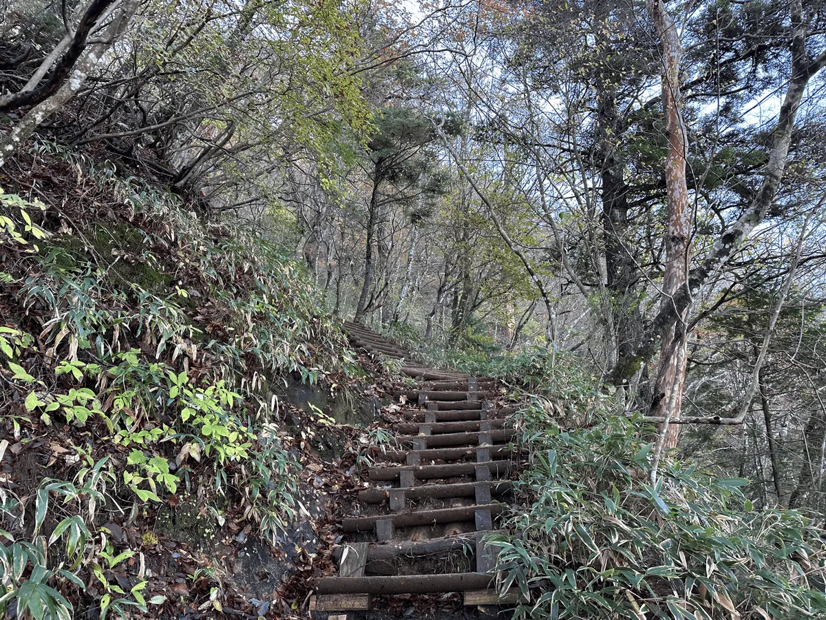 Some wooden stairs heading up