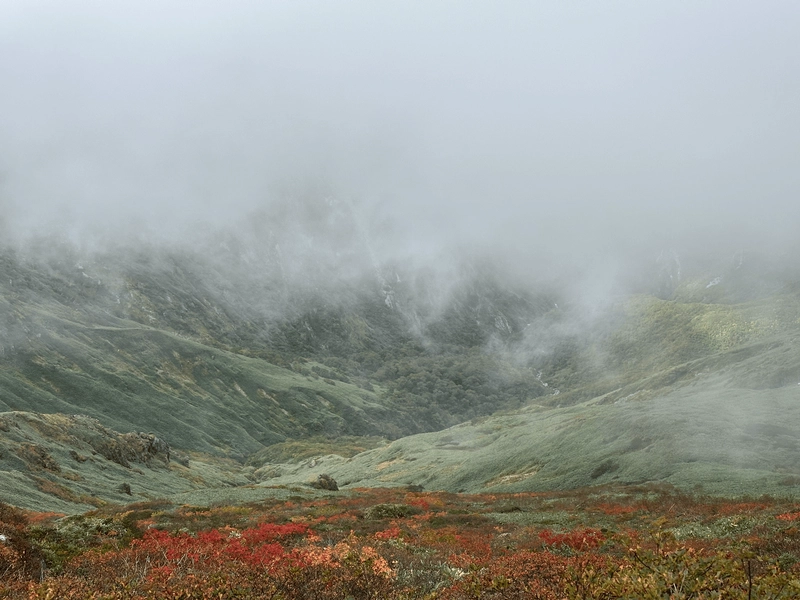 The white mist, green of the valley, and orange red of the autumn leaves