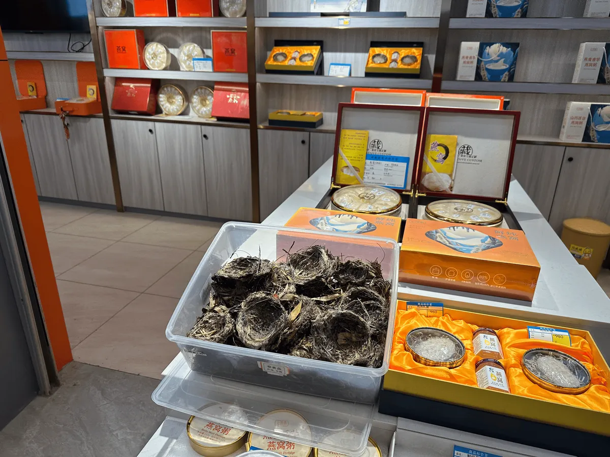 Display of edible birds nests at the souvenir shop