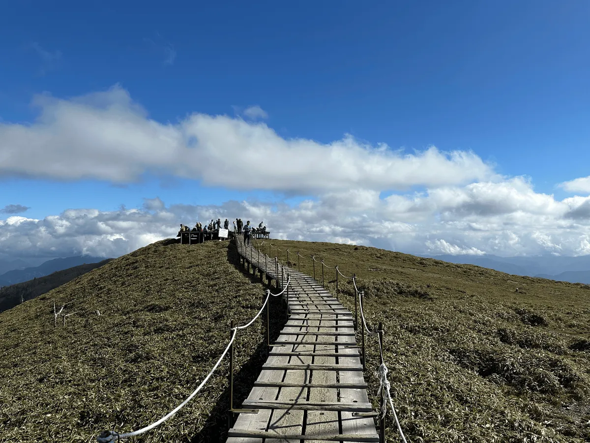 One of the trails leading in the distance.