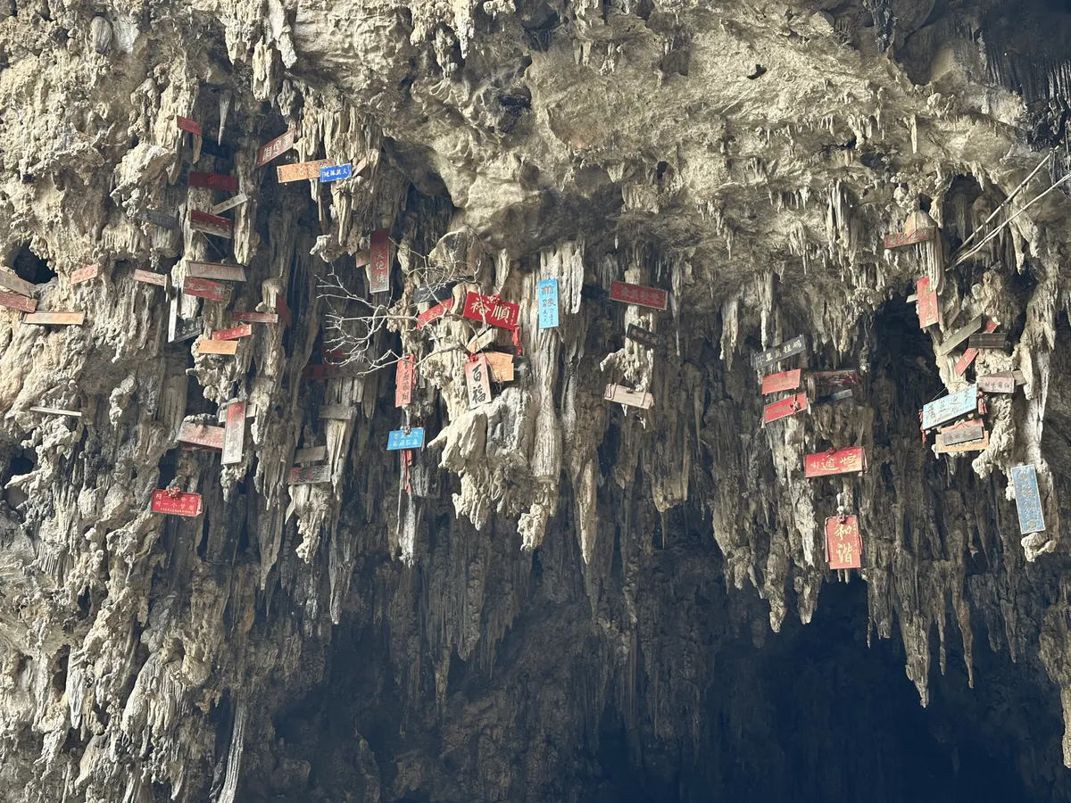 Wooden sign boards hanging from stalactites at the entrance of Swallow Cave