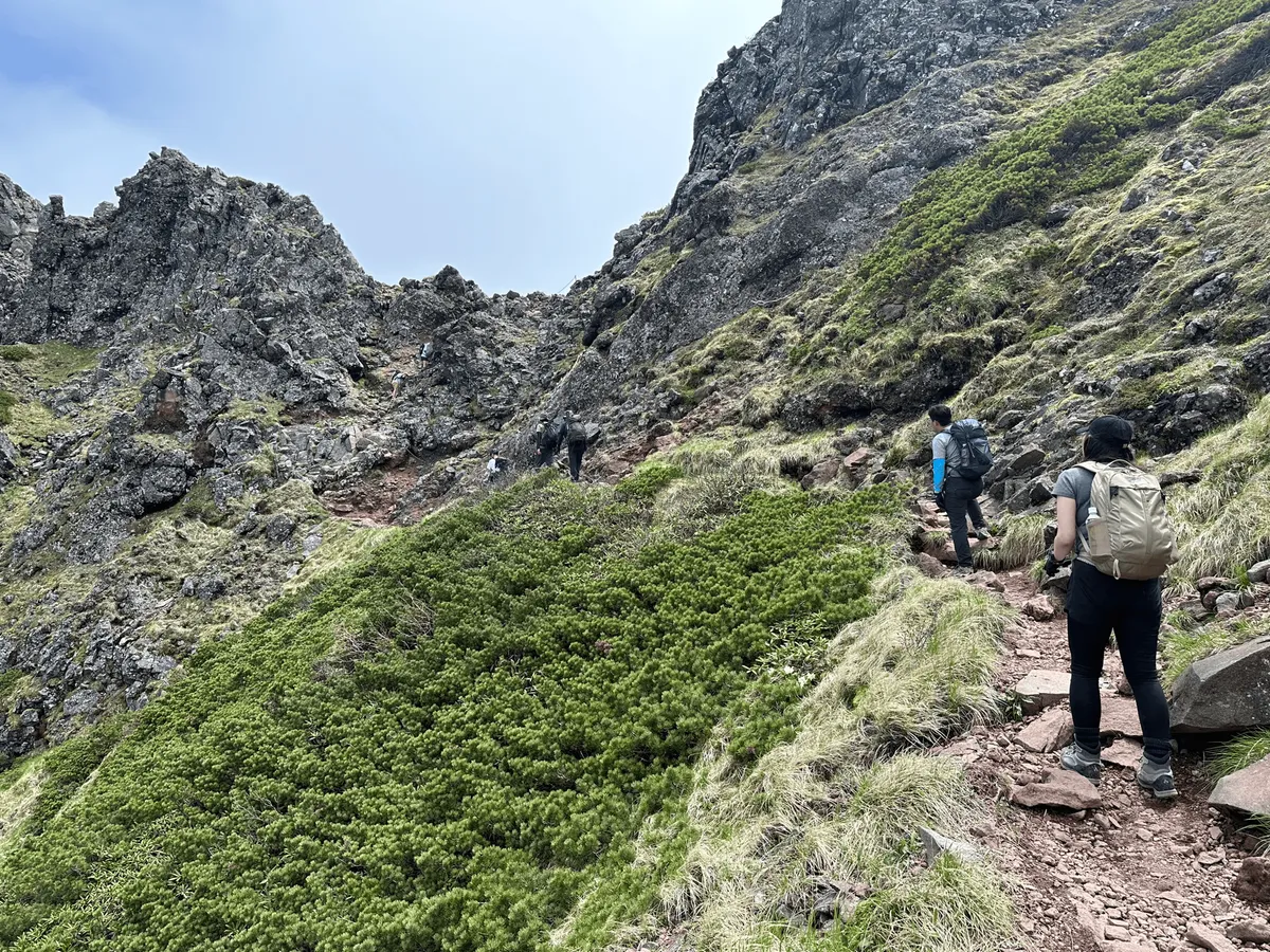 Another steep trail upwards.