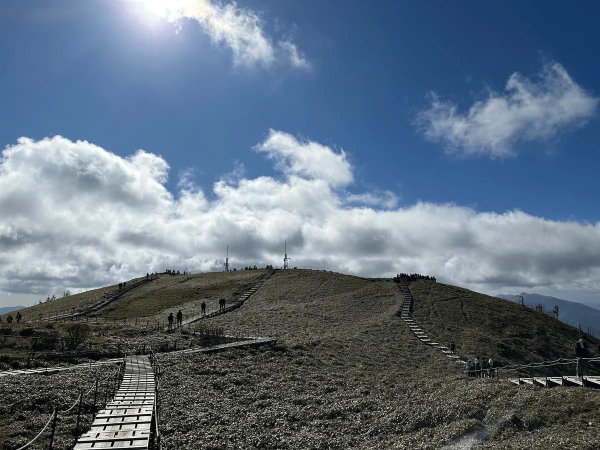 Three boardwalk trails across a grassy hill.