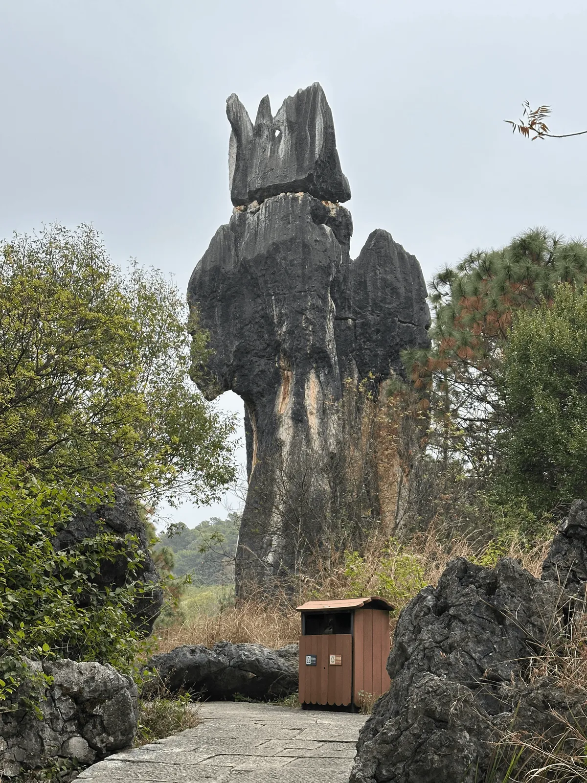 Limestone formation resembling a dolphin pointing towards thes ky