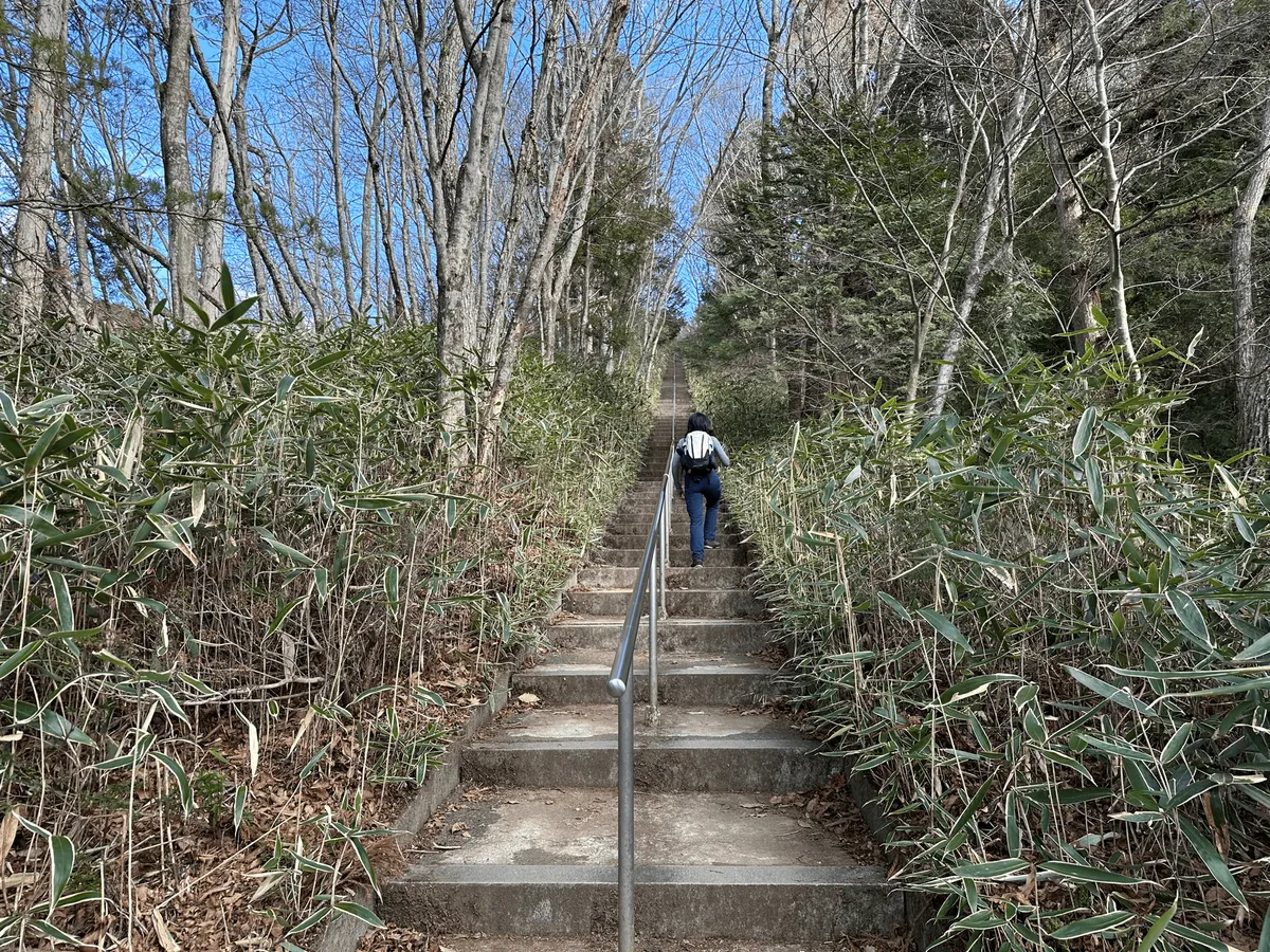 The endless stairs continue