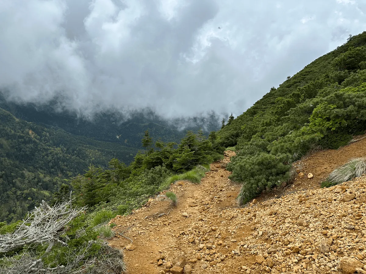 A yellow rocky descent