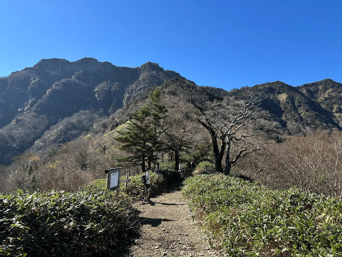 A flat section of trail with the mountain peak in the distance.