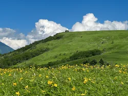 Mt Kirigamine (霧ヶ峰)