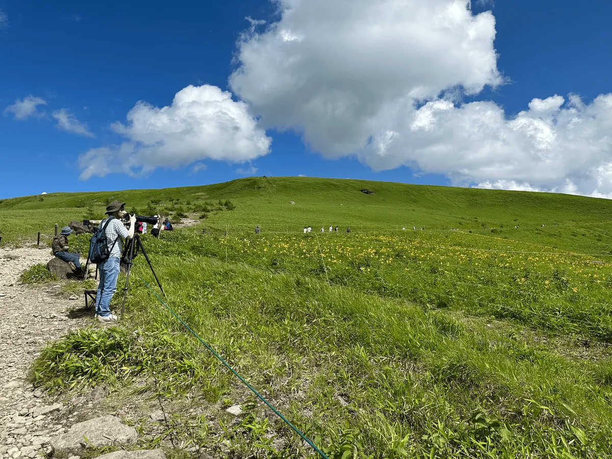 A man standing with a large camera on a stand, overlooking the flower field. 