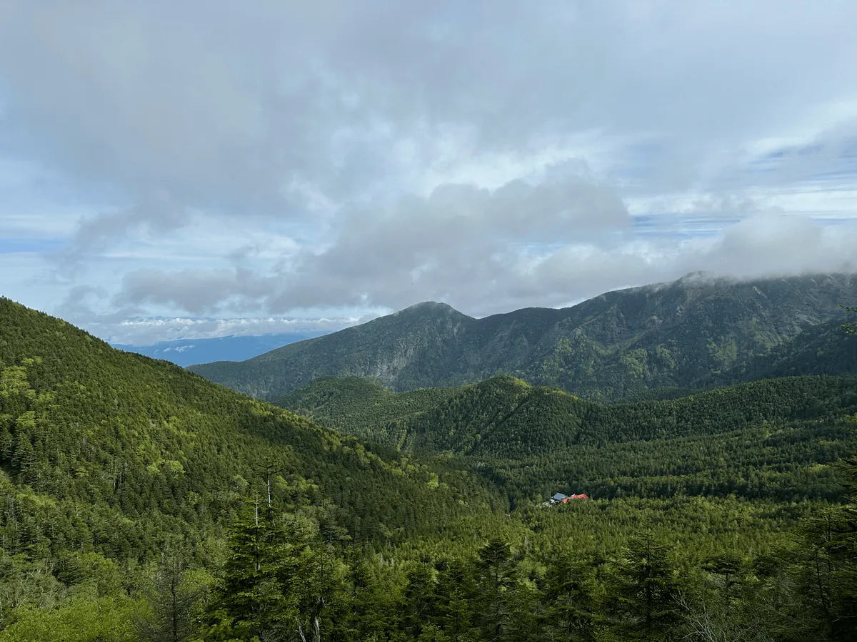 A tiny little blue and red-roofed hut, visible amongst the sea of trees