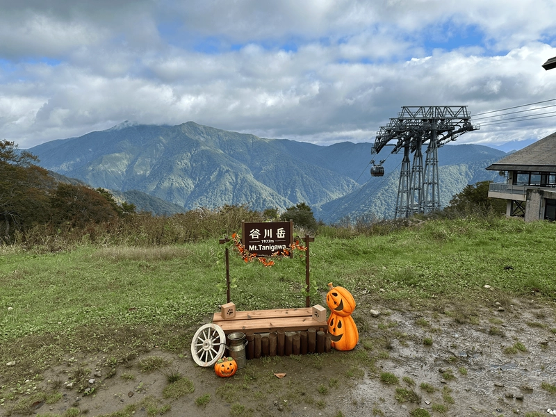 A halloween photo spot decorated wtih pumpkins.