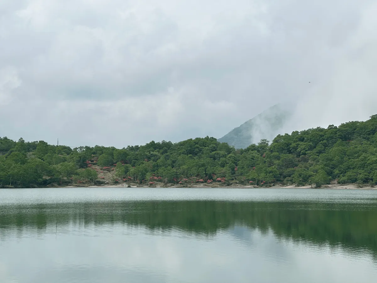 A lake, you can see azaleas on the opposite side.