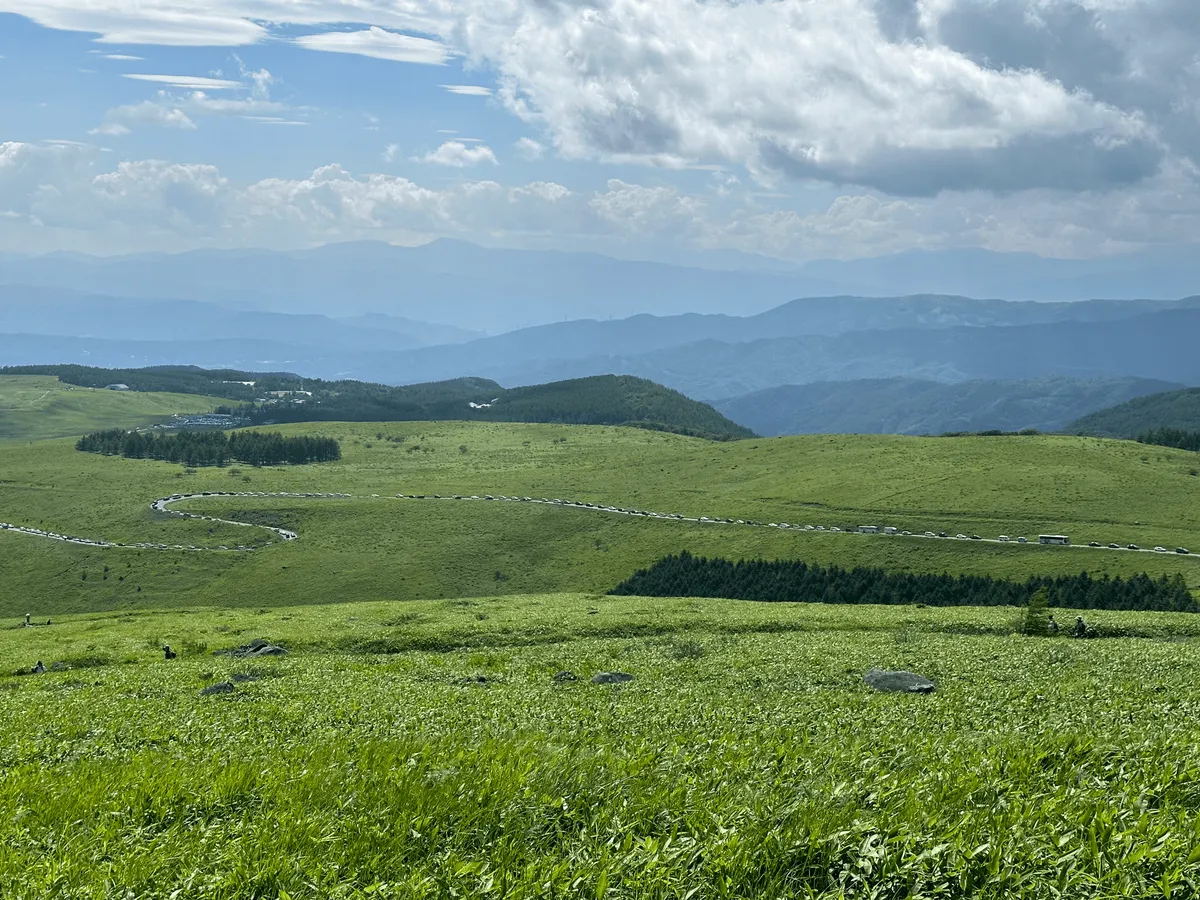 Photo of a large green expanse. In the distance stretches a road. It's full of cars.