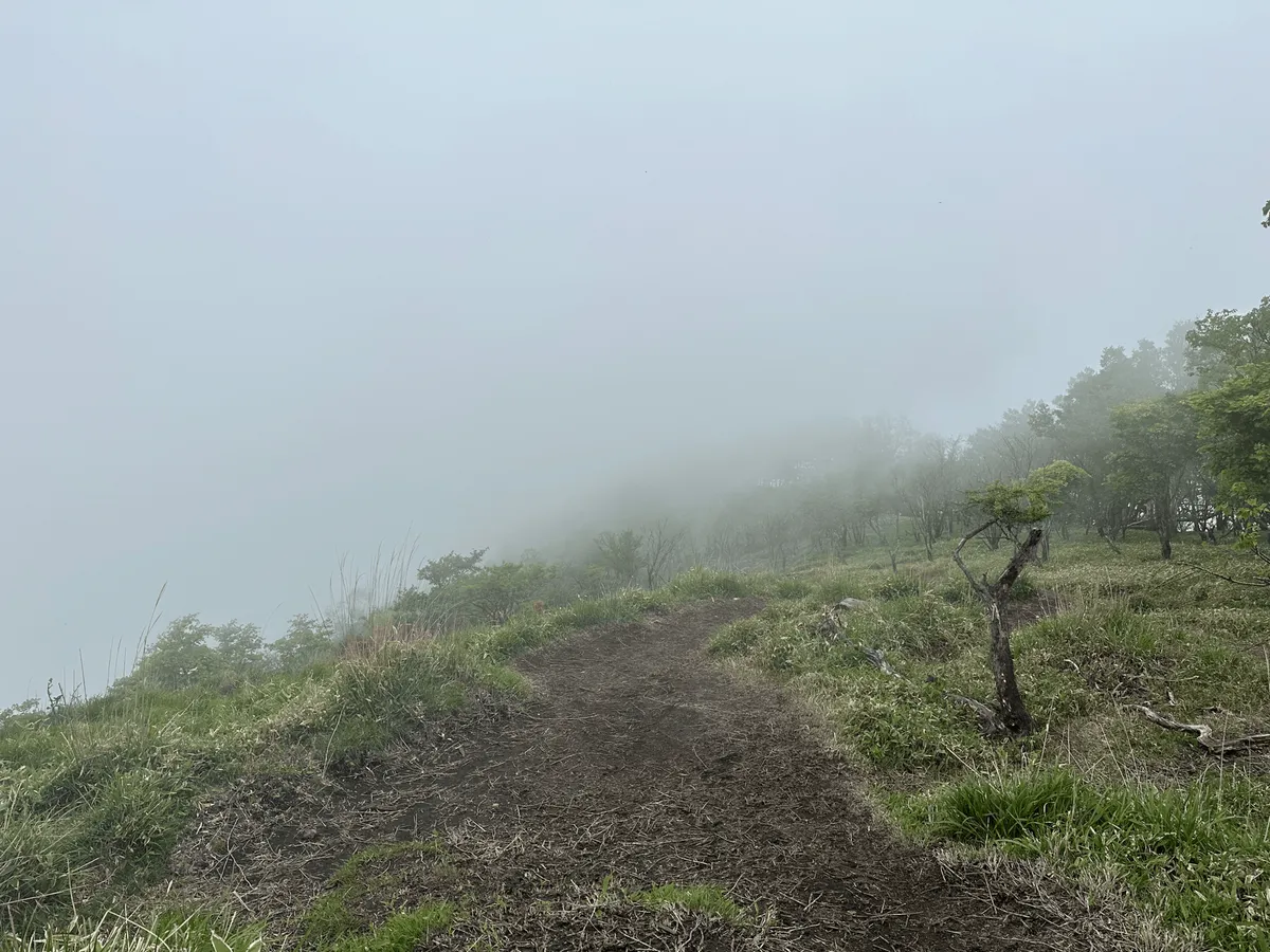 More easy trails, more fog.