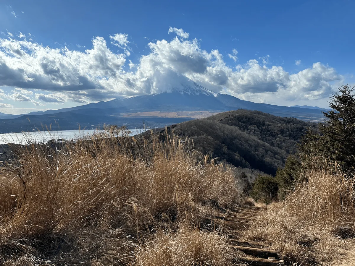 The view of Mt Fuji from Mt Hirao, with some stairs heading downwards