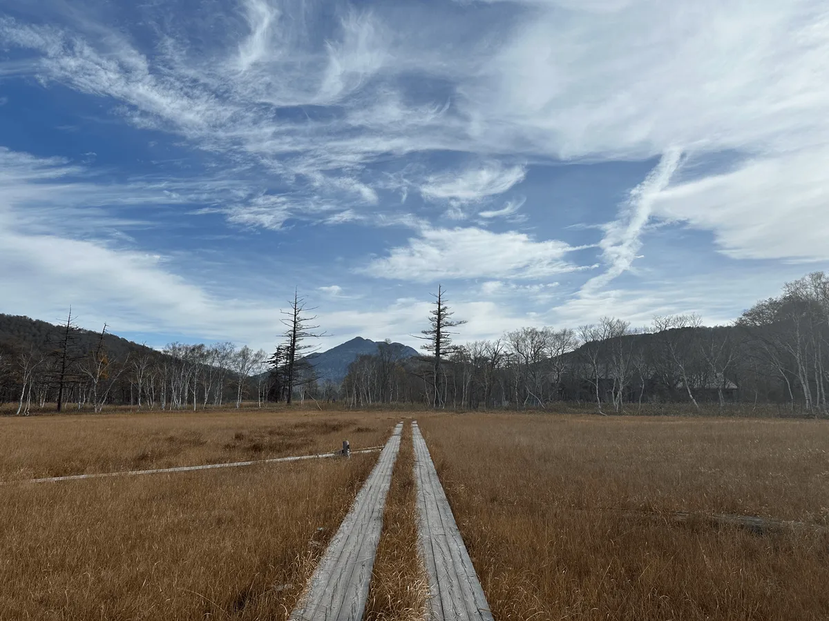 A yellow grass field and boardwalk leading towards Mt Hiuchigatake