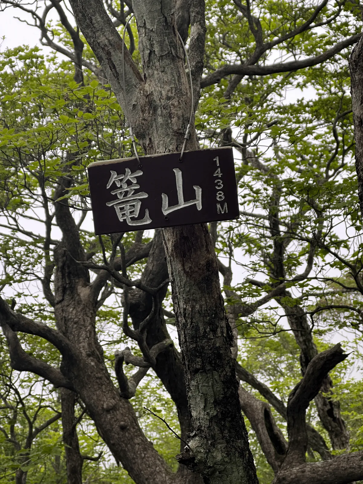 A wooden sign marking the peak of Mt Kago-yama