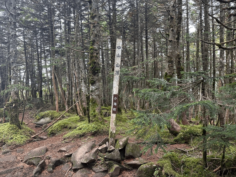 Mt Naka's peak marker