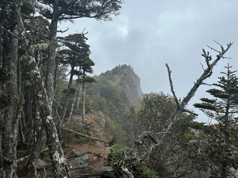 Mt Nyuu's peak visible as a rocky outcrop in the distance.