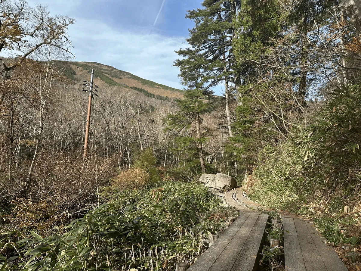 Boardwalk trail continues, with the peak of Mt Shibutsu visible in between the gaps of the trees