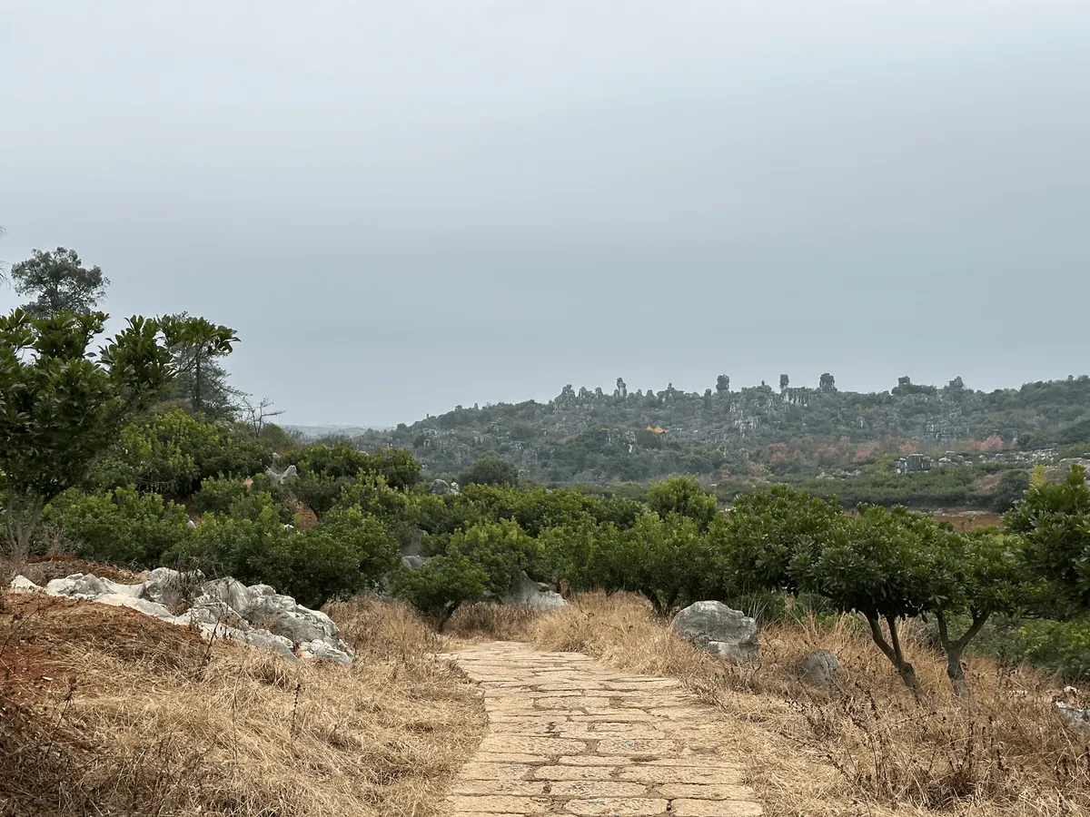 Path winding through shorter mushroom-shaped limestone formations