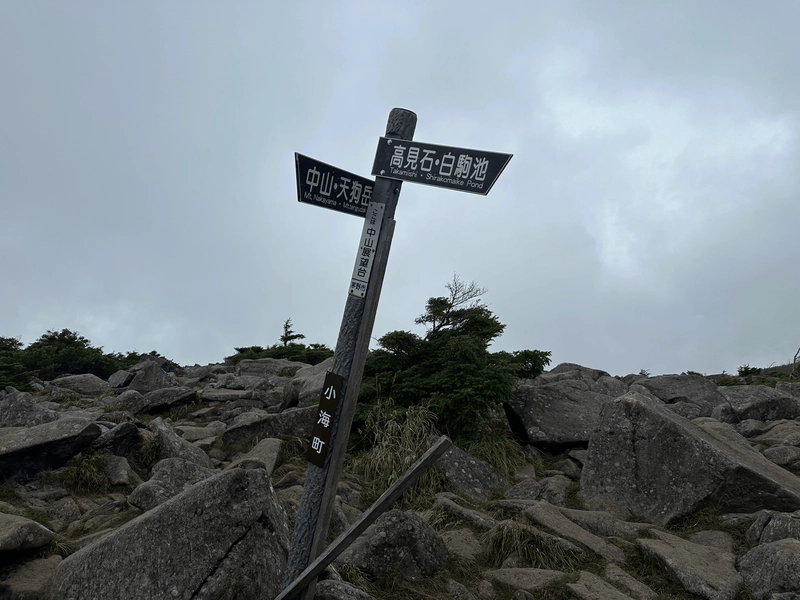 The signpost for Mt Naka viewpoint, staked in the ground at an angle.