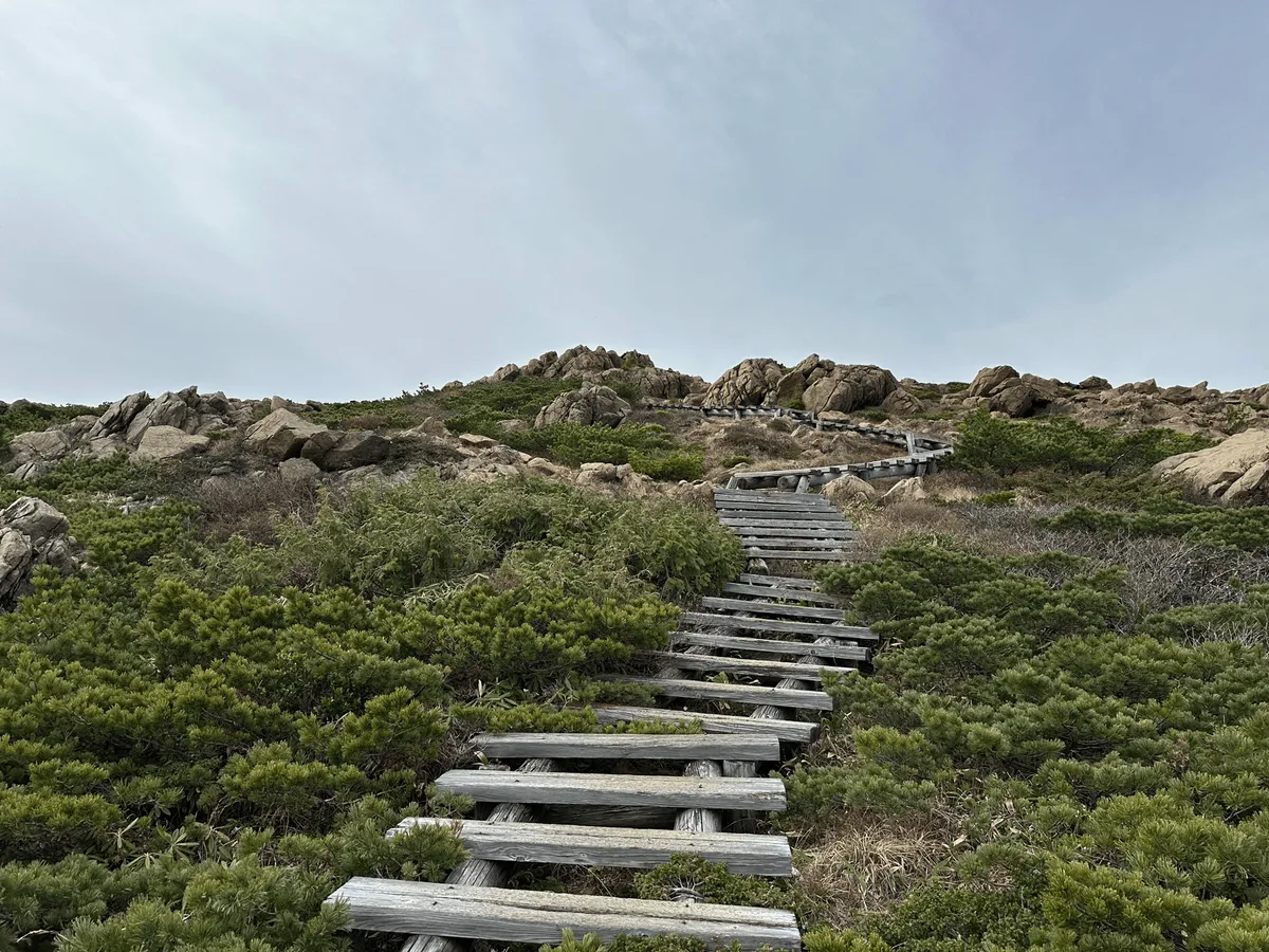 Boardwalk trail continues to what looks like a peak