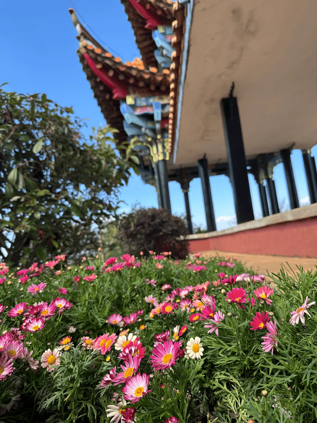 Pagoda surrounded by flowering plants