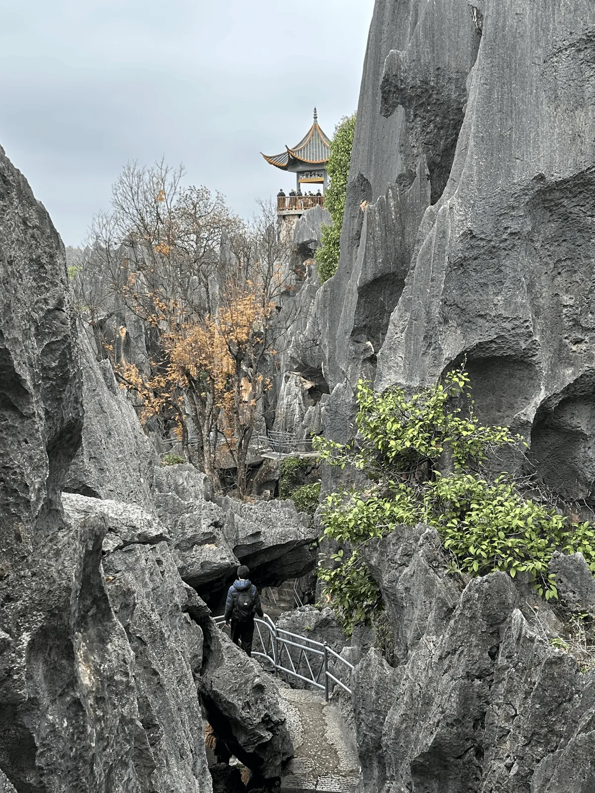 Traditional Chinese pavilion poking out of the stone forest.