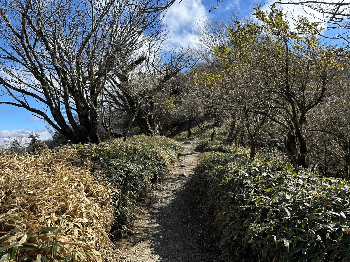 The trail past the chairlift.