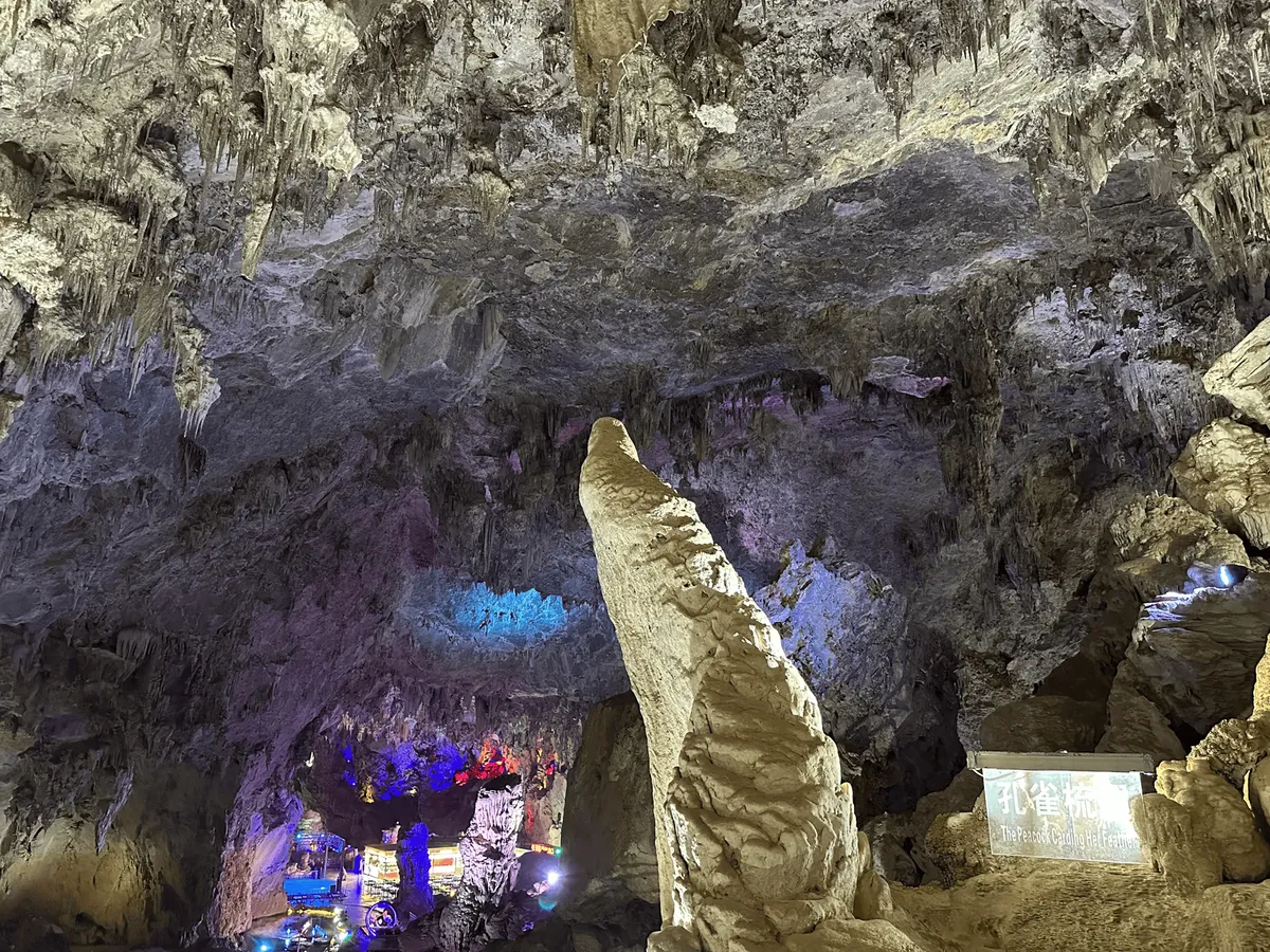 Stalactite formation resembling a peacock