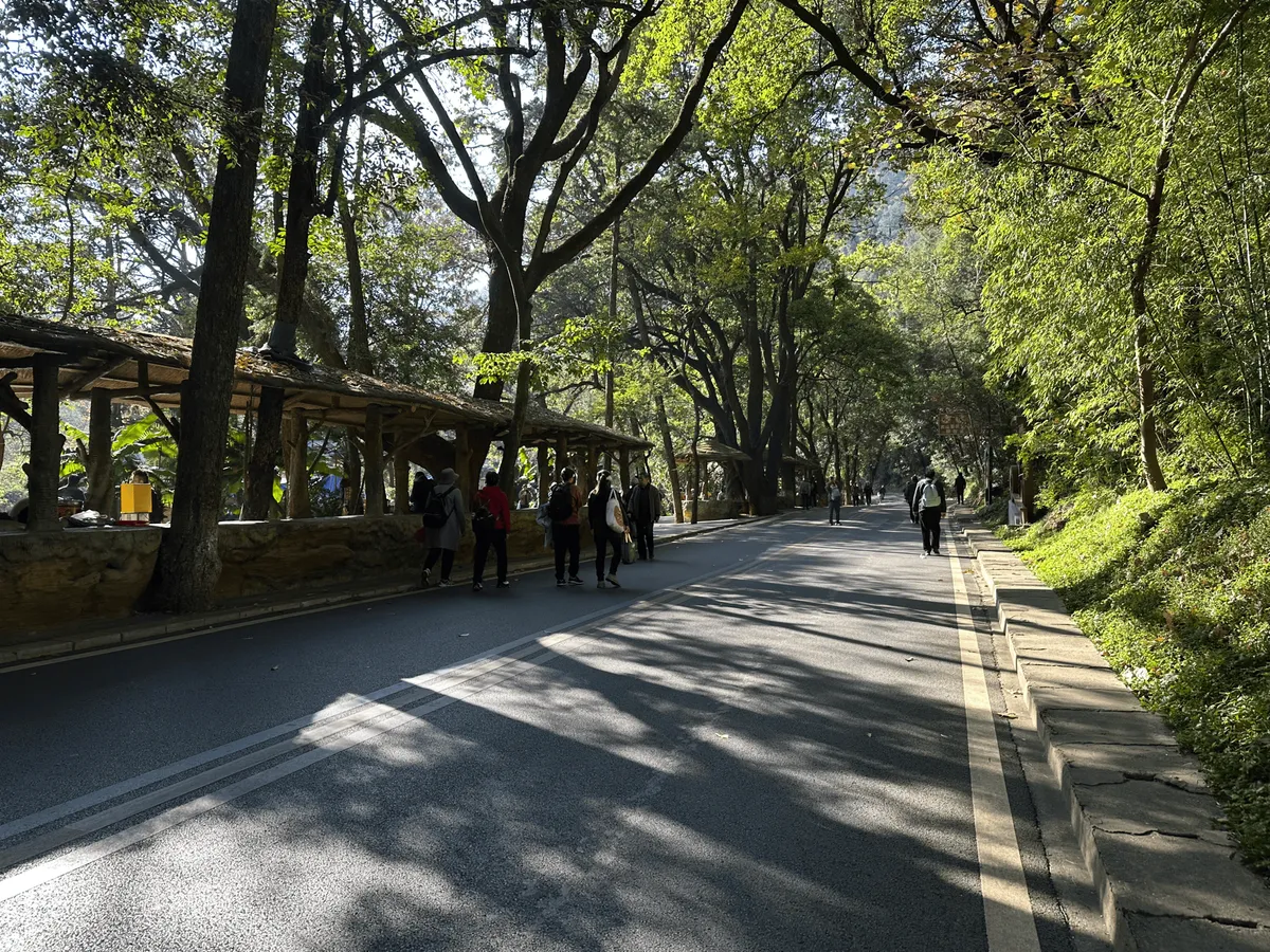 A paved road leading up the mountain with buses