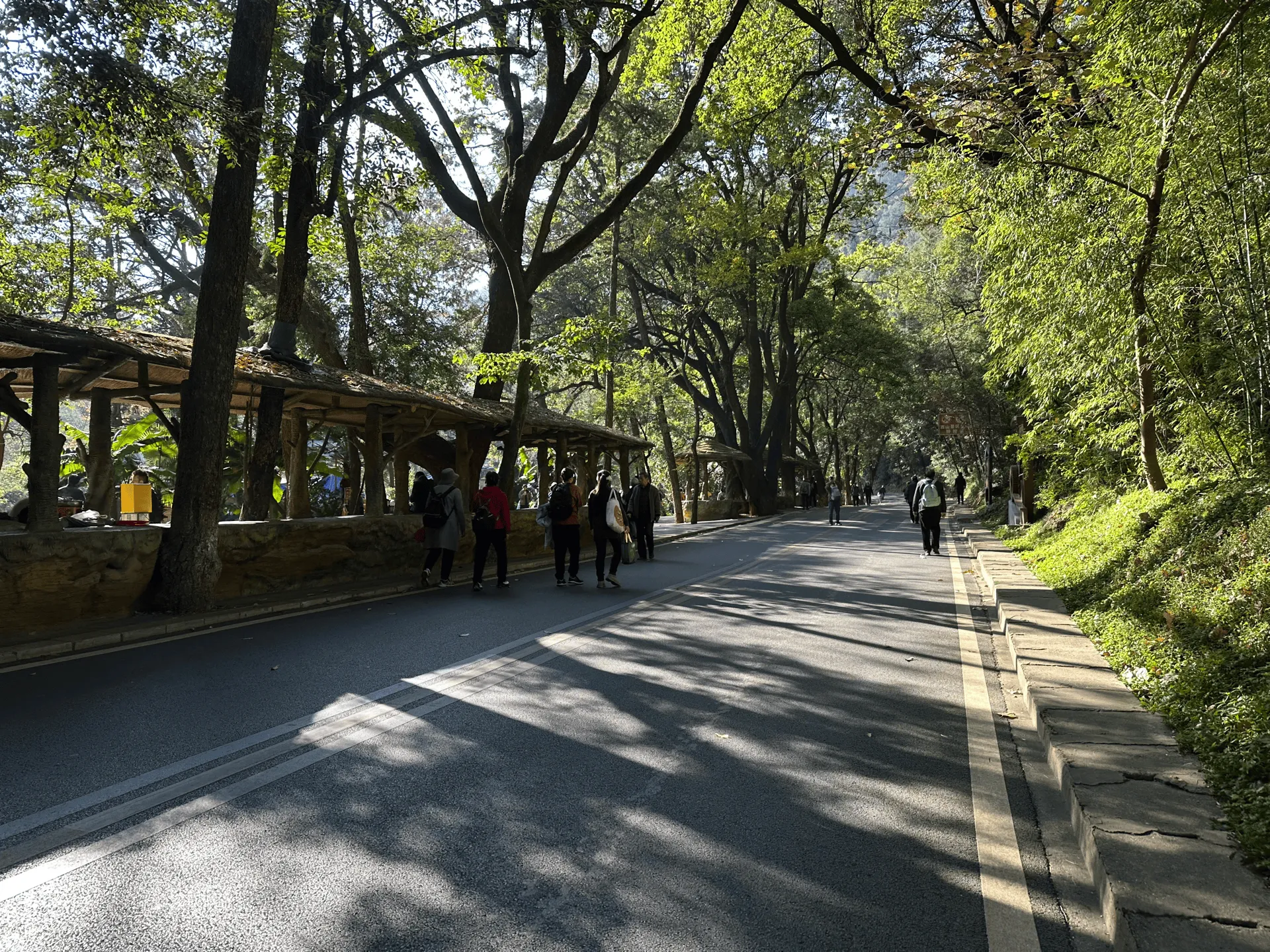 A paved road leading up the mountain with buses