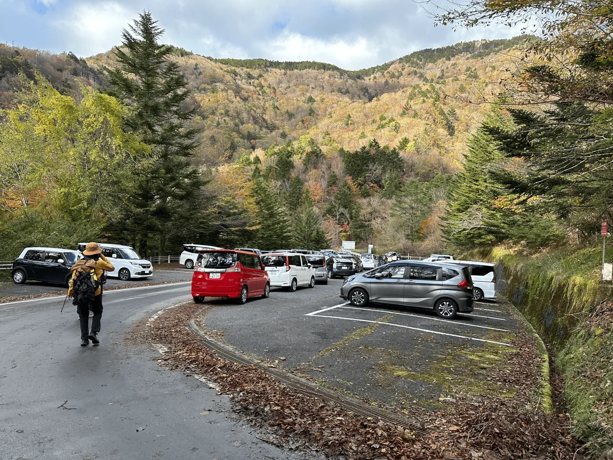 A numnber of cars parked in a carpark on the road.