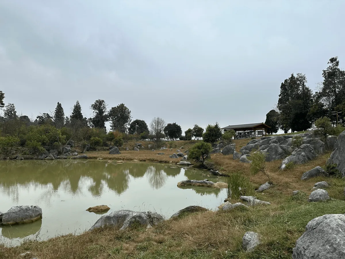 Tourist shuttle bus on a paved road through the Stone Forest