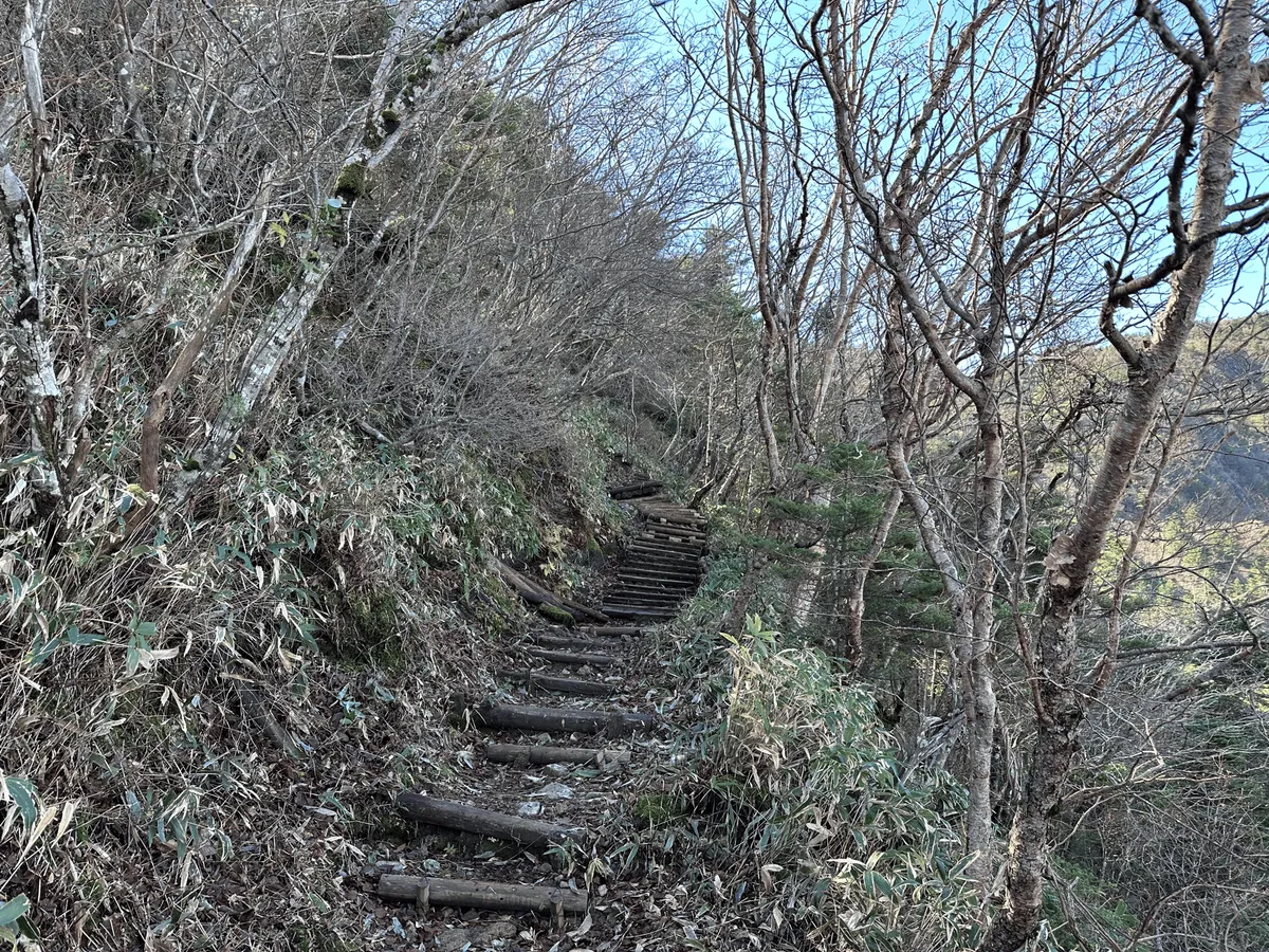 Regular stairs through the forest