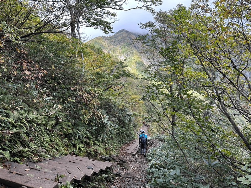 Some stairs down the mountain path.