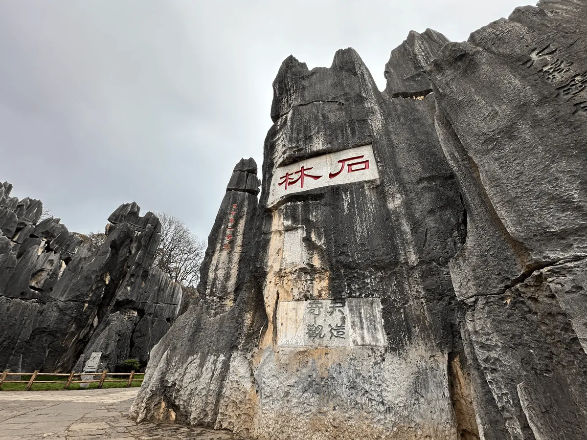 Close-up view of tall limestone formations in the Stone Forest