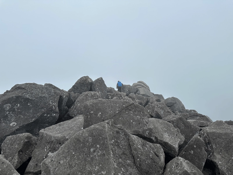 A sea of rocks on a foggy morning