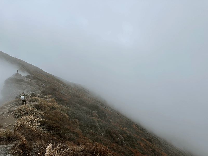 Mostly fog along a brown trail.