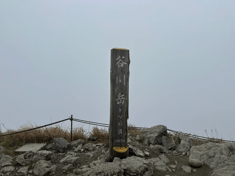 A wooden peak marker for Toma-no-mi.