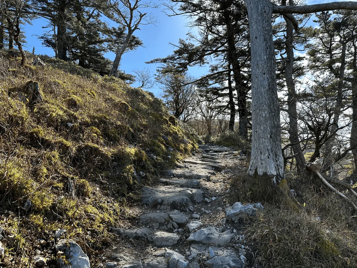 Trail continues up, with stepping stones on the path.