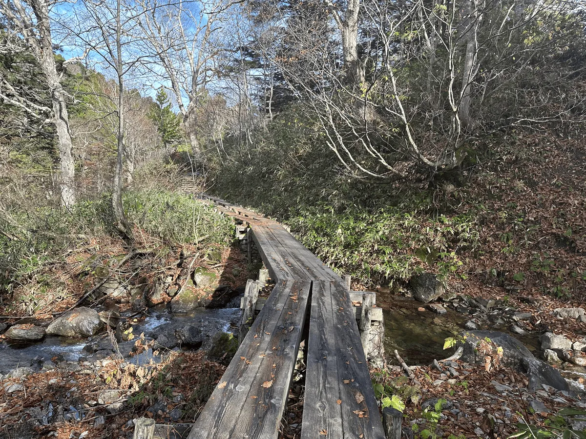 Trail along a boardwalk that crosses a small creek