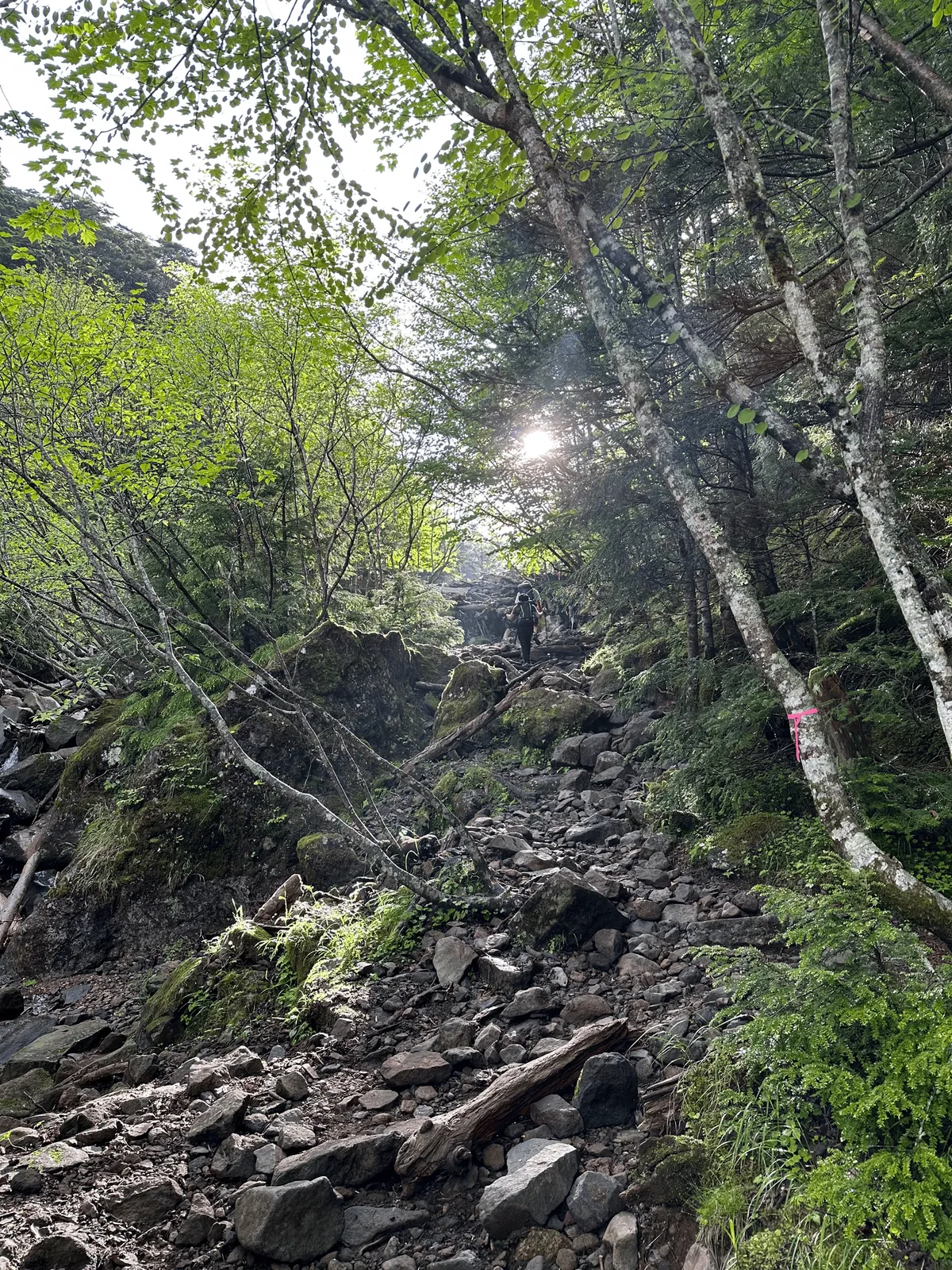 A steep, rocky trail