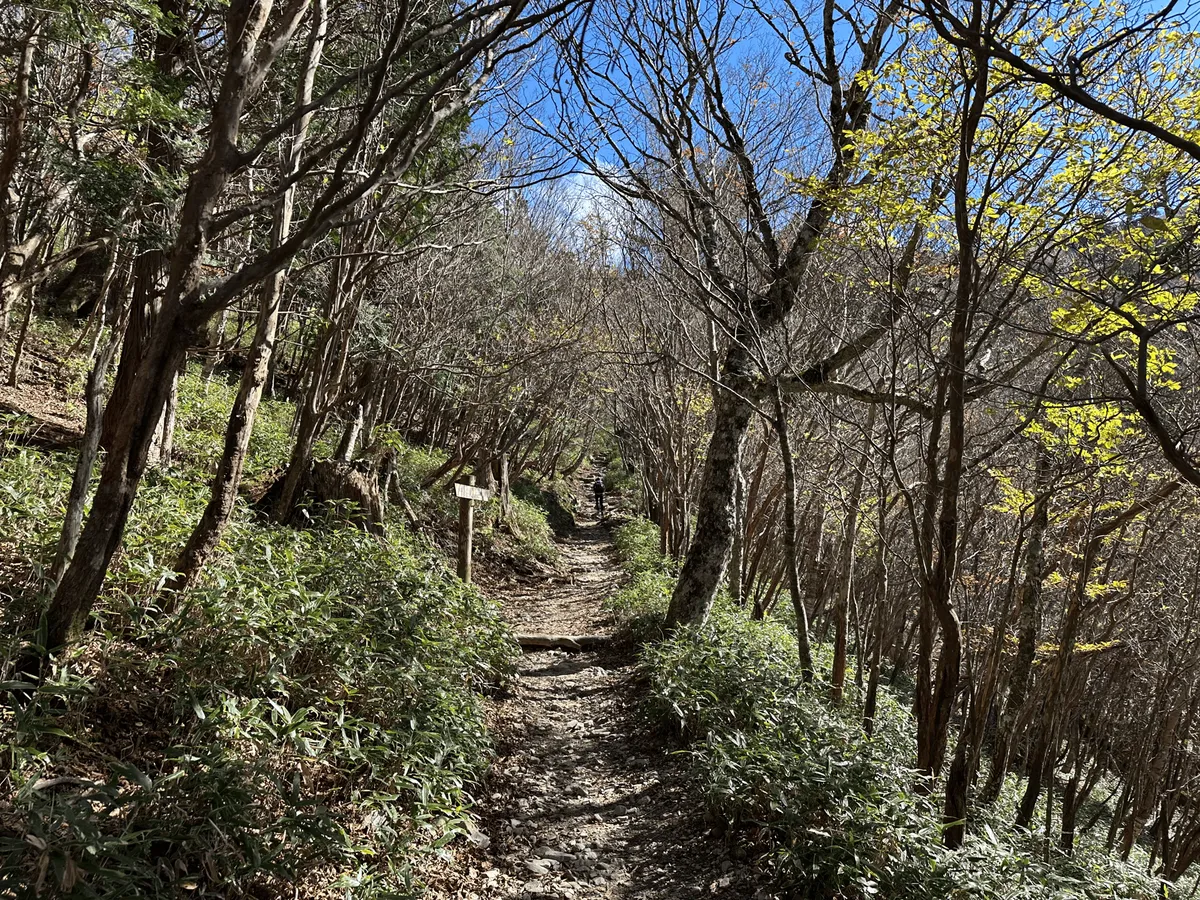 The trail up is a very smooth and easy hike.