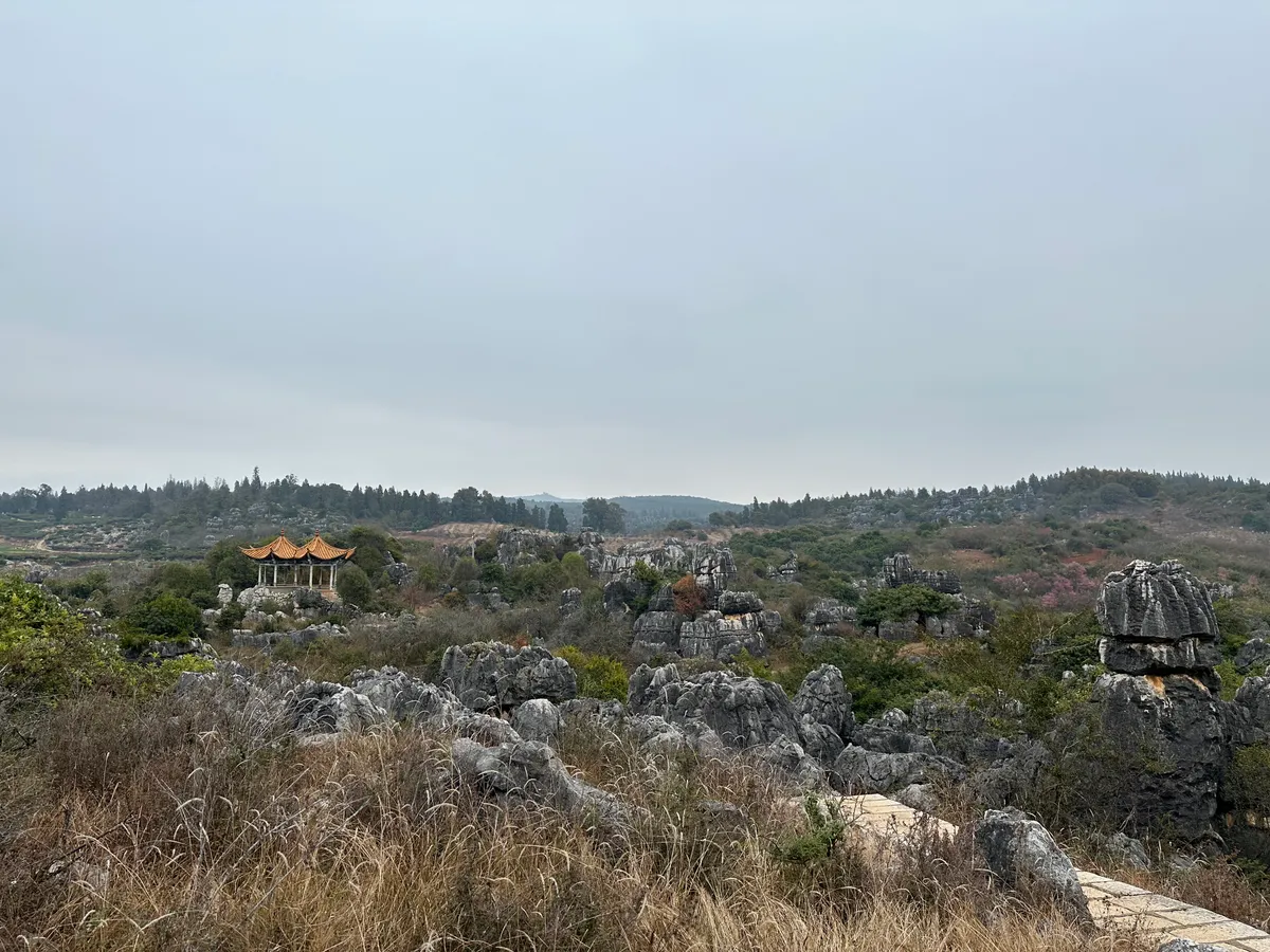 Two pagoda structures visible between the limestone formations