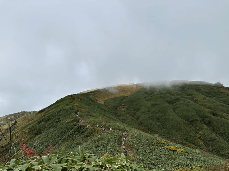 Lots of people climbing along the green ridgeline, with a little bit of yellow.