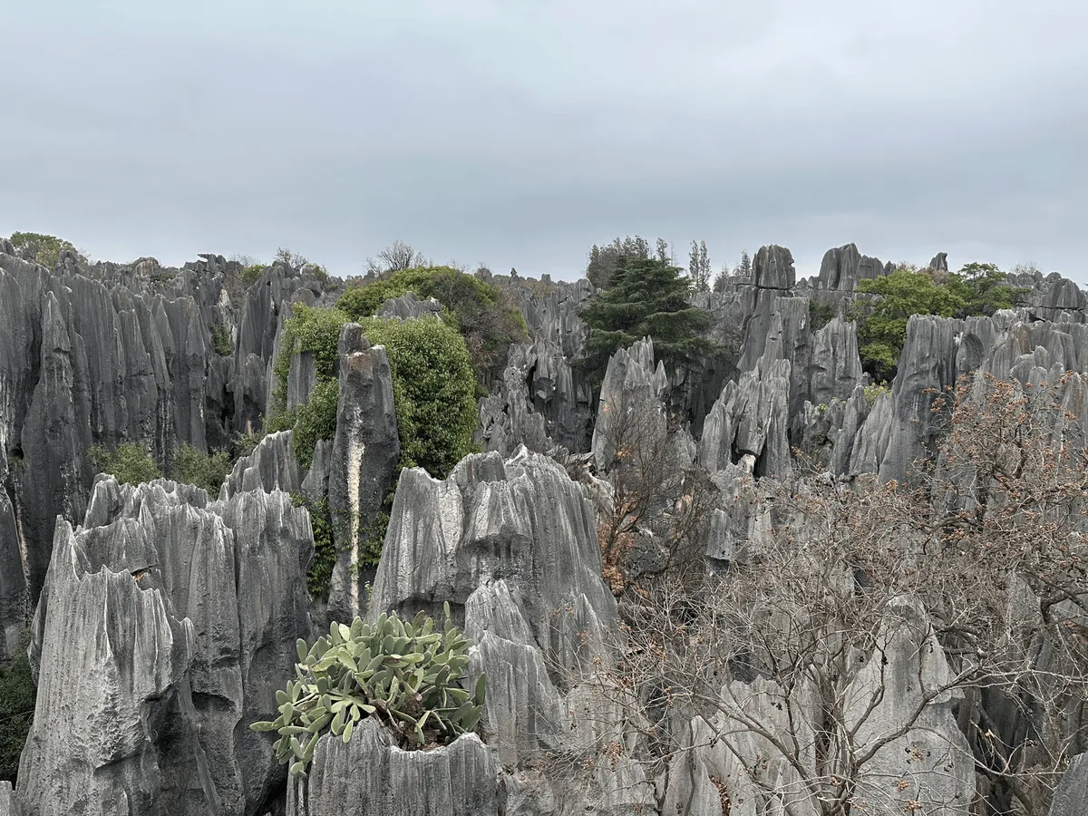 Panoramic view of the Stone Forest from the pavilion viewpoint