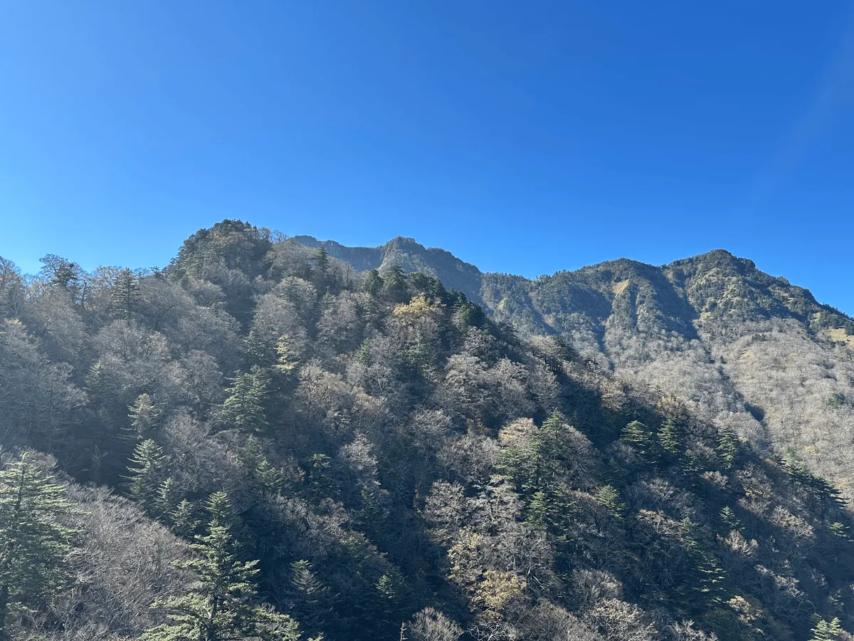 A mountain ridge line in the distance.