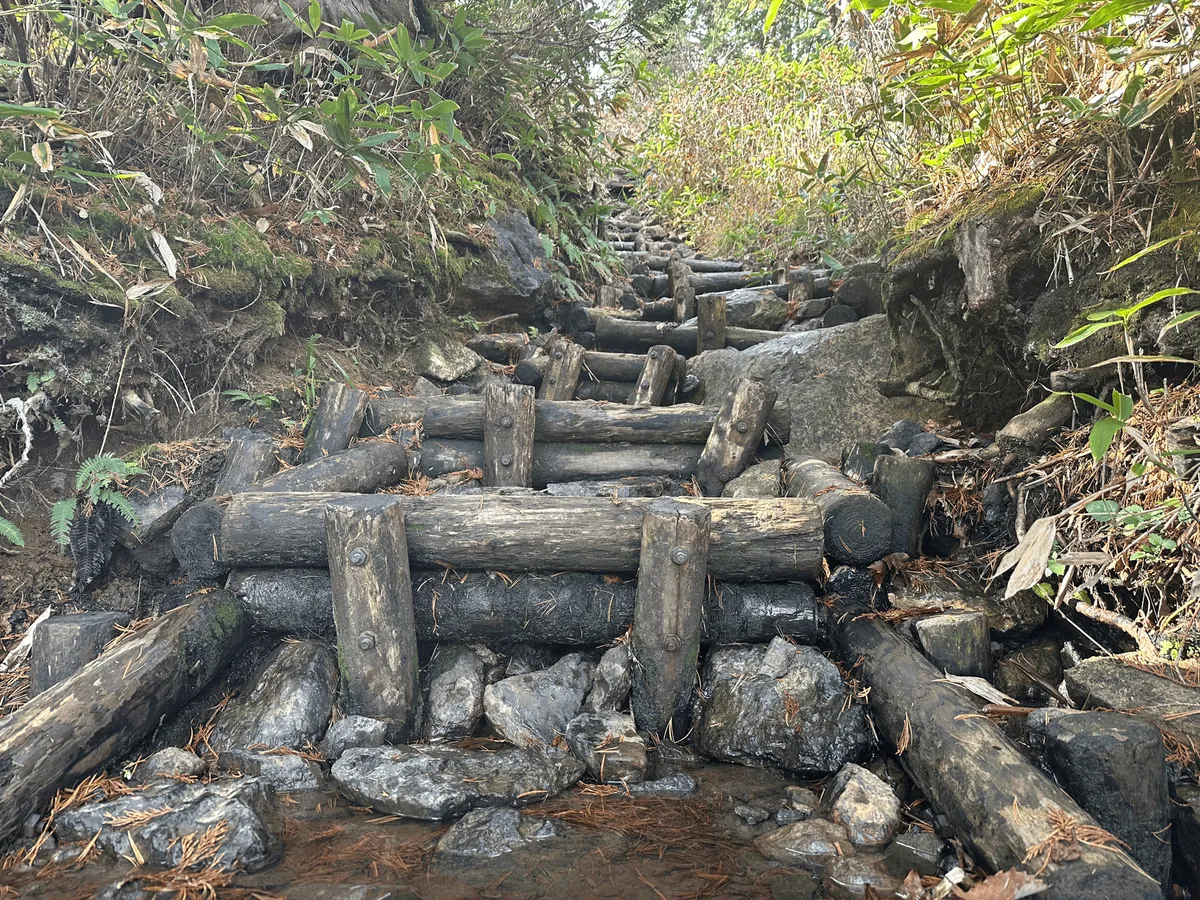 Close up of the wooden stairs on the trail with water pooled on the steps